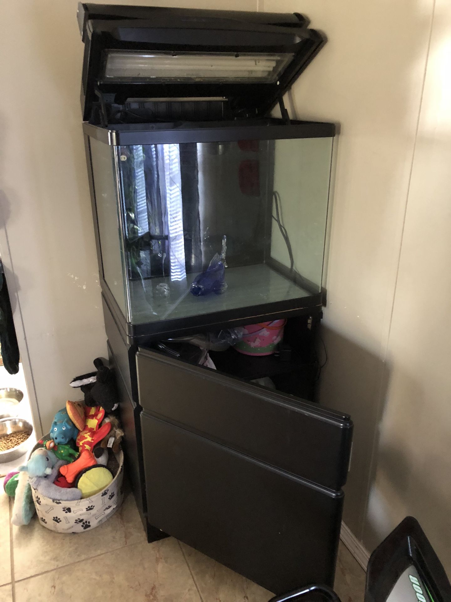 Fish Aquarium Red Sea 