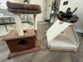 Cute Cat Tree and Cat Tent/Bed