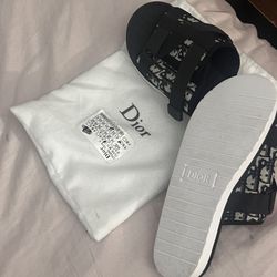 DIOR ALPHA SLIDES