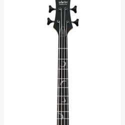 
Schecter Damien 4
Damien Electric Bass Guitars by Schecter And Fender Amp