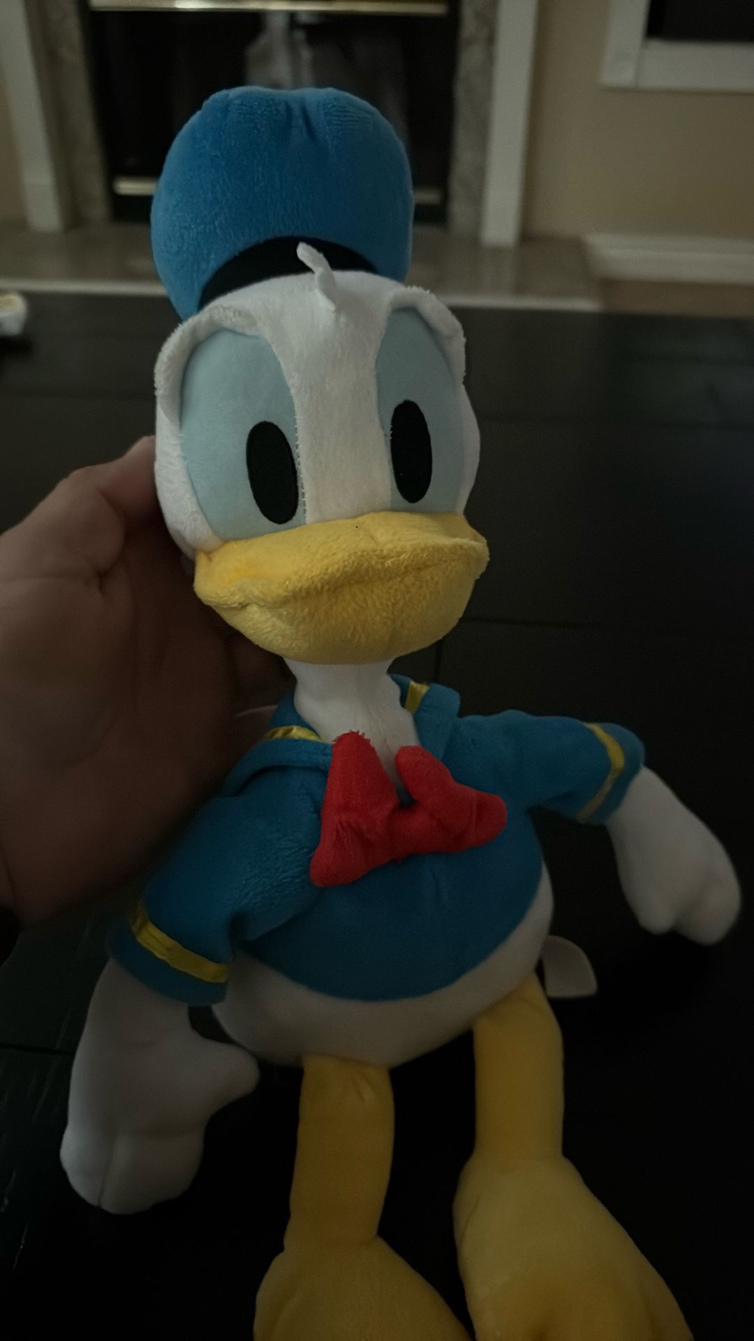 Donald Duck Plush β Classic Disney! π¦π
