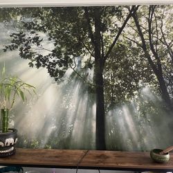 Large canvas art/nature