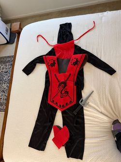 Dragon ninja costume