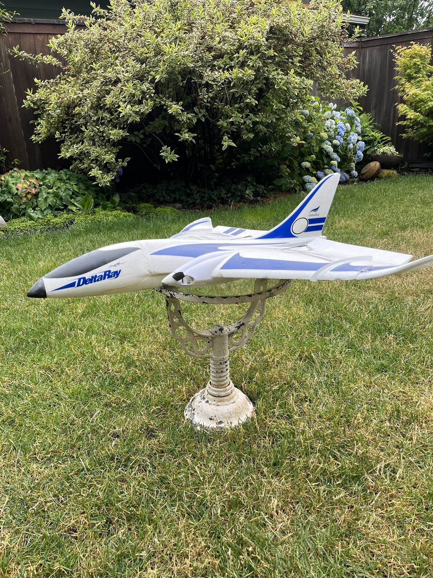 Delta Ray Fire Bird Remote Control Plane