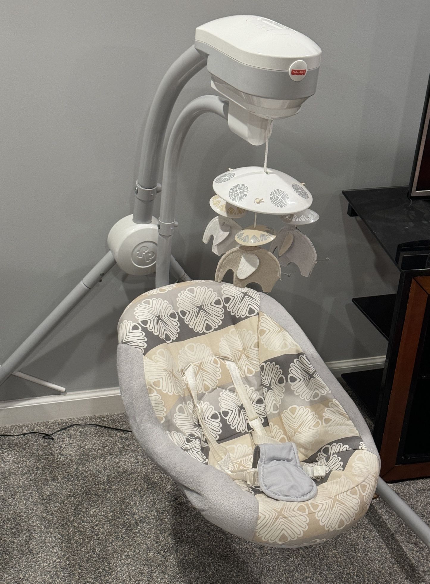 Fisher Price Swing