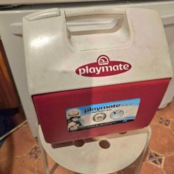 Lunch Cooler In Good Condition 