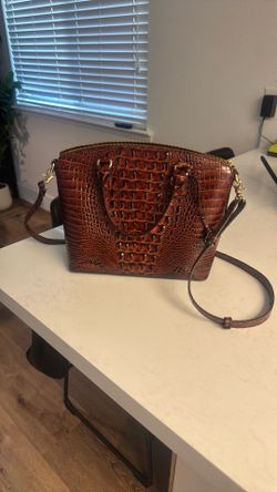 Brahmin Purse