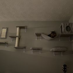 Cat Wall Pieces 