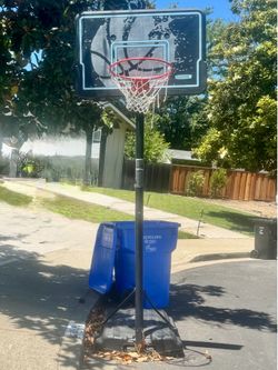 Free Basketball Hoop