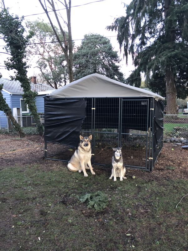 Retriever lodge dog kennel for Sale in Ruston, WA OfferUp