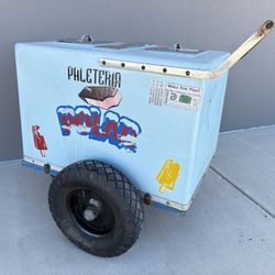 Carrito De Paletas Paletero / Ice cream Push Cart