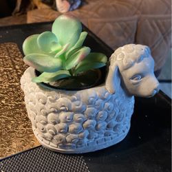 4”x4” Clay Sheep W/artificial Succulent 
