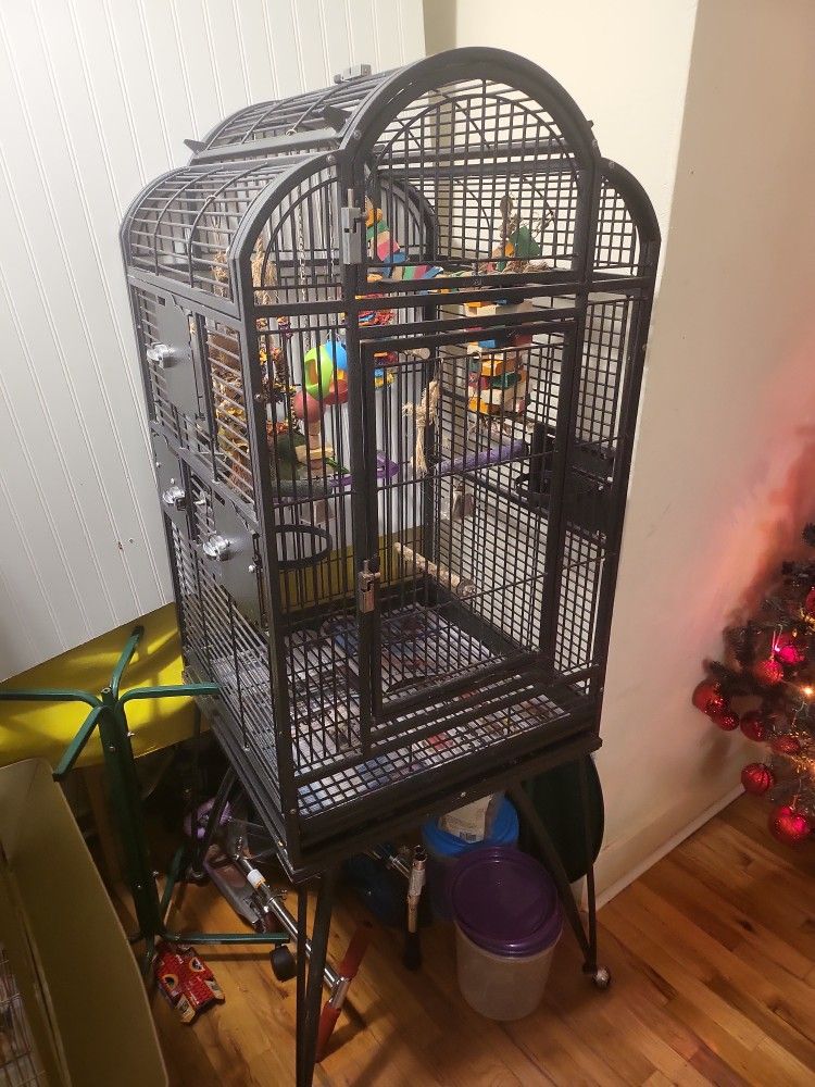 Bird Cage