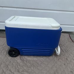 Igloo Ice Chest