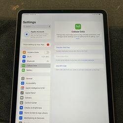iPad Pro 4 Gen (256GB) 