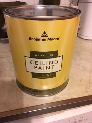 Benjamin Moore Ceiling Paint 5 Cans For Sale For Sale In Yonkers