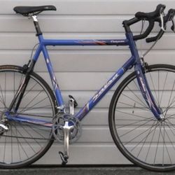 Salsa Road Racing Bike Carbon Frame 