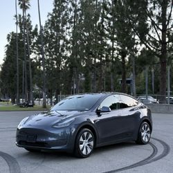 2020 Tesla Model Y