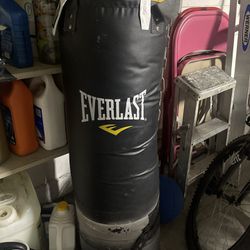 Punching Bag With Gloves 