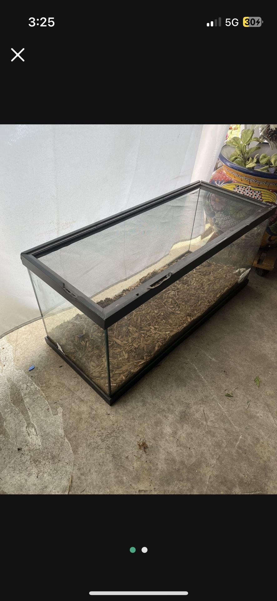 Fish Tank 