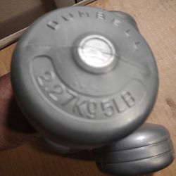 Set Of Two  Gray 5 Lb Dumbbell Weights