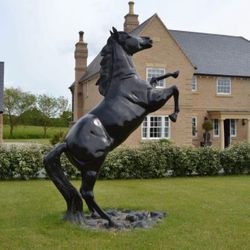 Aluminum Rearing Bronco – Ranch & Outdoor Décor