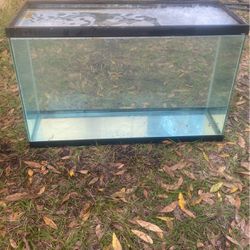 Beautiful Clear Glass Fish Tank