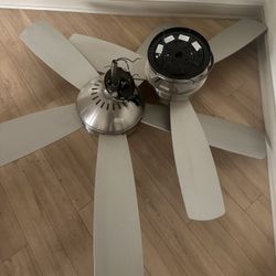 Ceilings Fans
