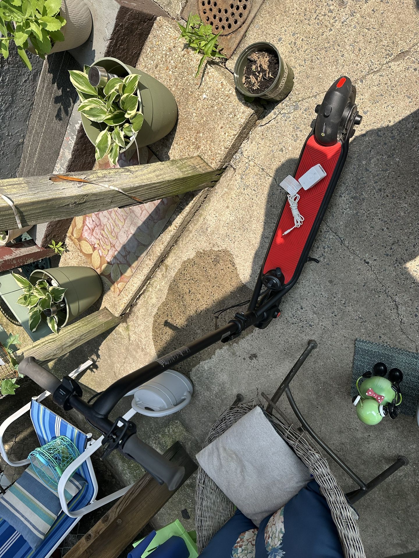 Ninebot Segway Electric Scooter