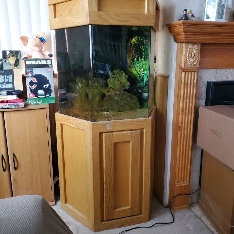 55 Gal Acrylic Fish Tank With Stand And Bio Ball Filtration.