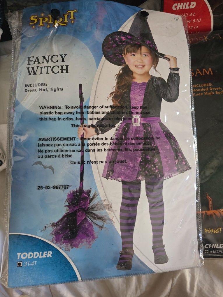 Fancy Witch Halloween Costume