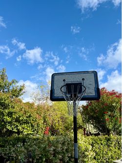 Portable Basketball Hoop