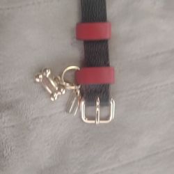 Coach  Leather Dog Collar