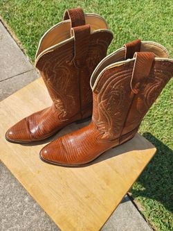 Lizard boots Webster Texas