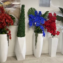 Bases Y Plantas Disponibles / Home Decor 