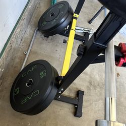 25 lb Barbell Plates
