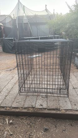 Big Cage