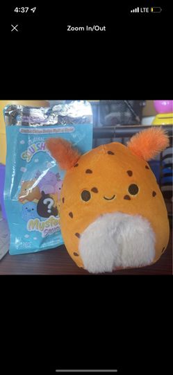 Tenzig Mystery Squishmallow 