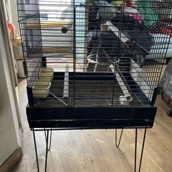 Bird Cage