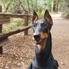 Milo
