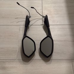 2024 BMW S1KRR Mirrors