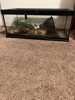 Reptile habitats