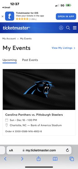 Panthers & Steelers Game