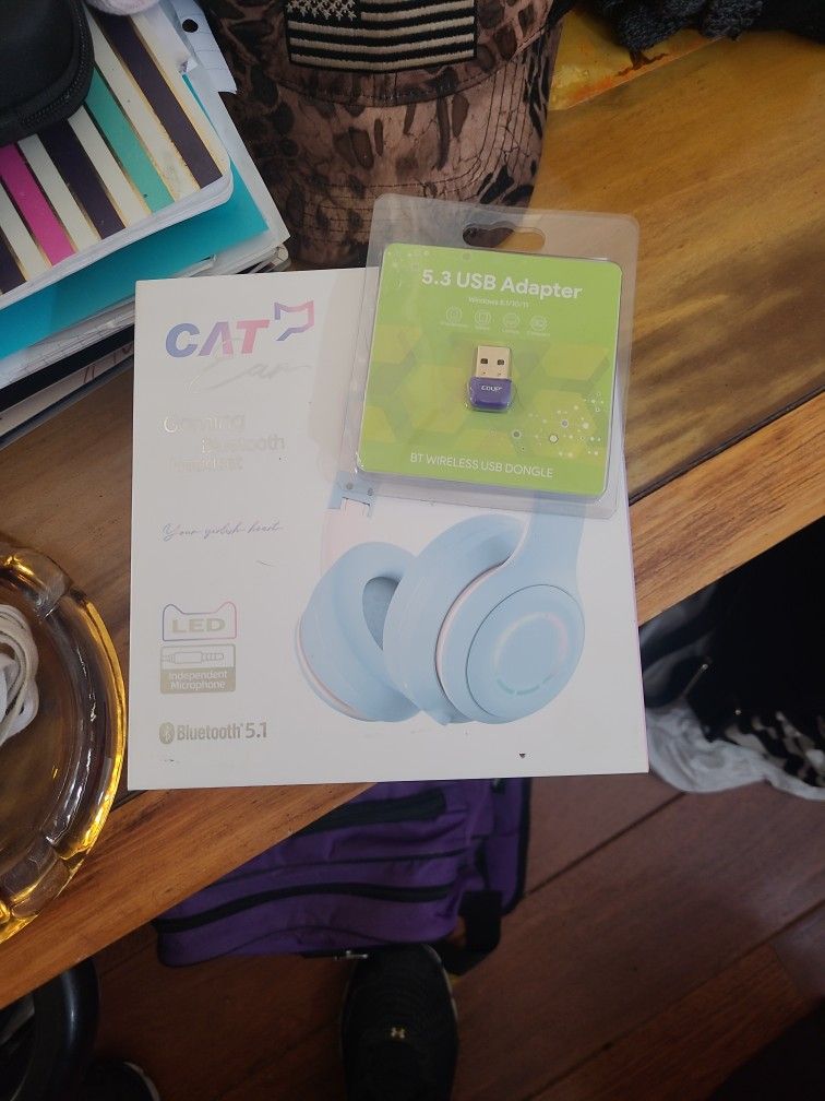 Headset And USB Bluetooth Connection
