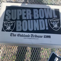 Raiders poster 11 x 17”