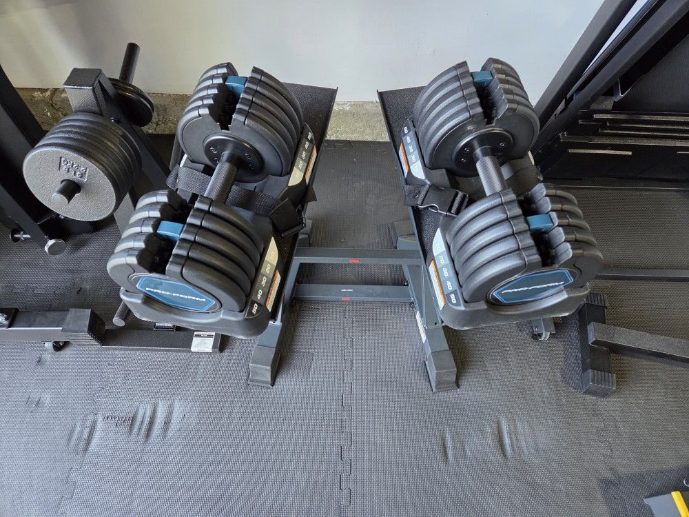 50lbs Adjustable Dumbbells And Stand