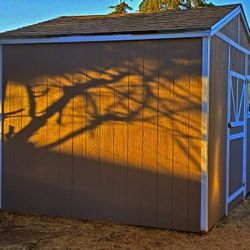 10x12 Shed 