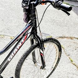 Giant Mountain Bike Revel 24"