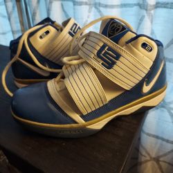 Nike LeBron Basketball Shoes