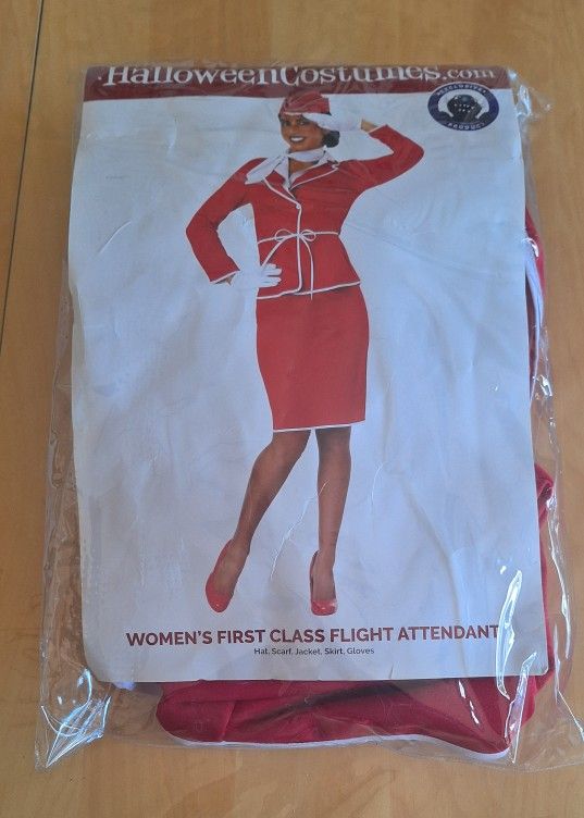 Woman Flight Attendant Halloween Costume 